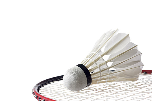 的果断和短 的果断和短