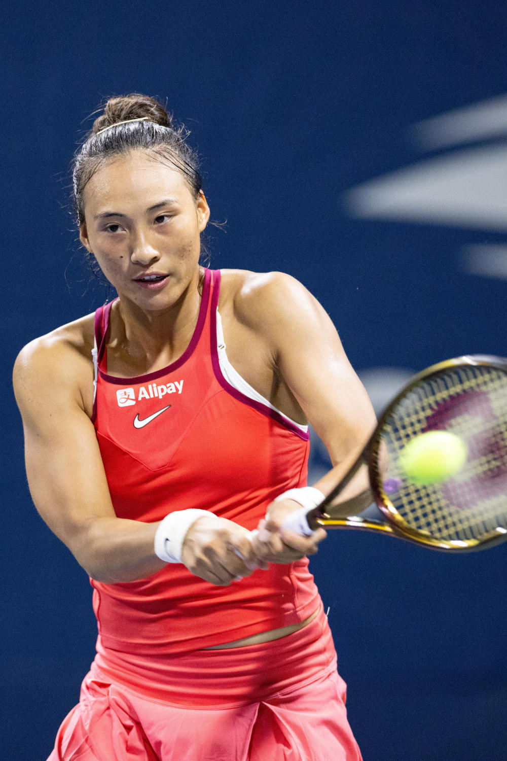 险的存在 险的存在