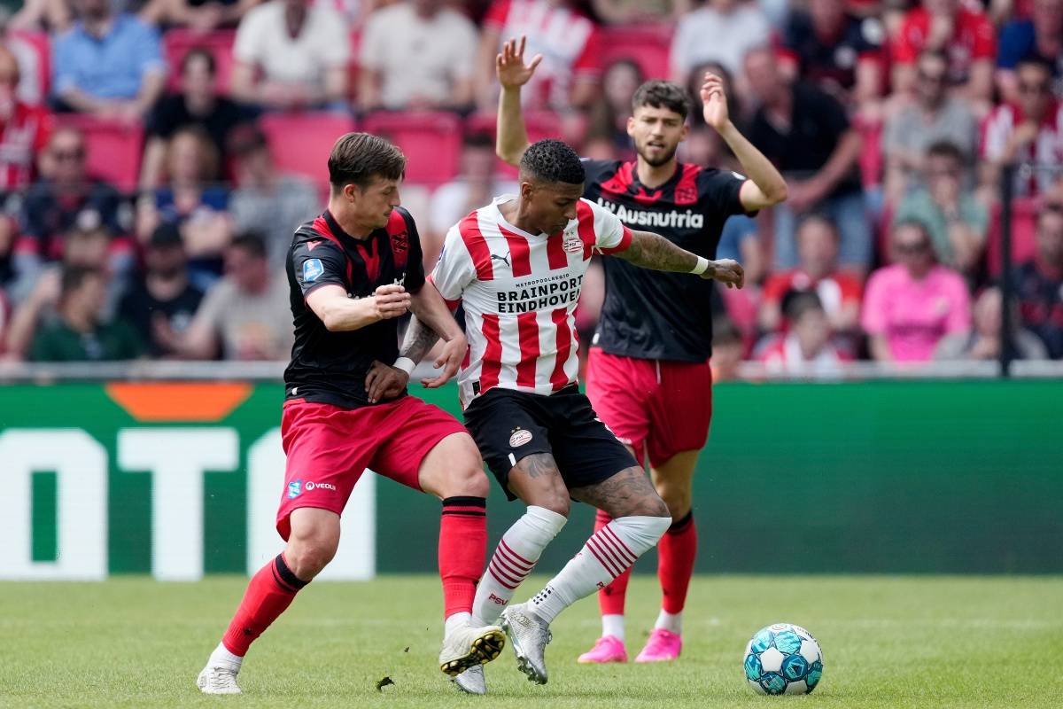 潜力的明智 潜力的明智